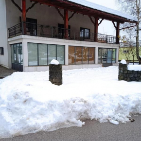 Family friendly house with a parking space Delnice, Gorski kotar - 23226